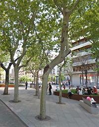 Caída de árboles en Madrid